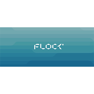 flock